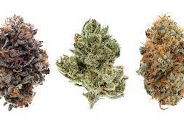 Knowing Your Strains